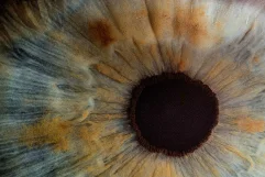 MÓ LAB estrena una Pop-up en el Estudio G’69