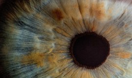 MÓ LAB estrena una Pop-up en el Estudio G’69