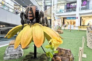 Salera dinamiza su oferta educativa a través de la apicultura