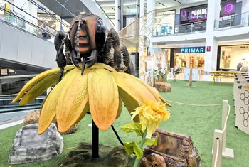 Salera dinamiza su oferta educativa a través de la apicultura