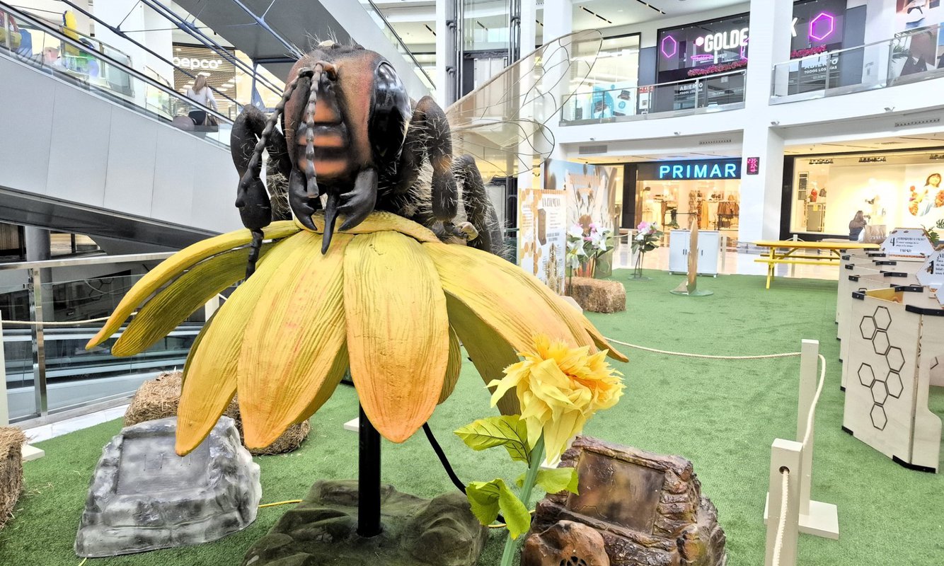 Salera dinamiza su oferta educativa a través de la apicultura