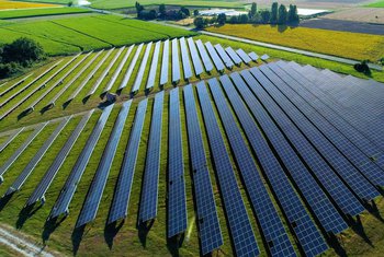 Amazon desarrolla una quinta planta solar en Castilla-La Mancha